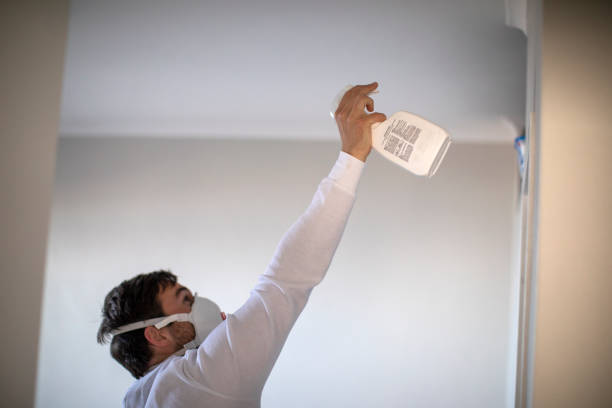 Mold Testing and Removal in Placerville, CA