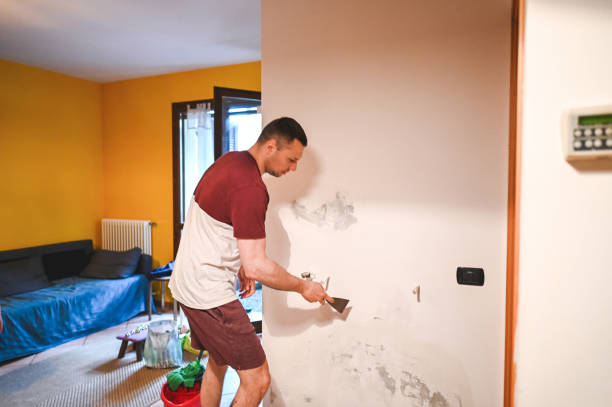 Best Mold Testing  in Placerville, CA